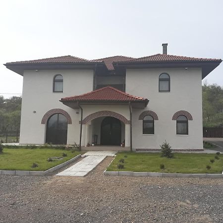 Pensiunea Casa Ungur Cetea Zewnętrze zdjęcie