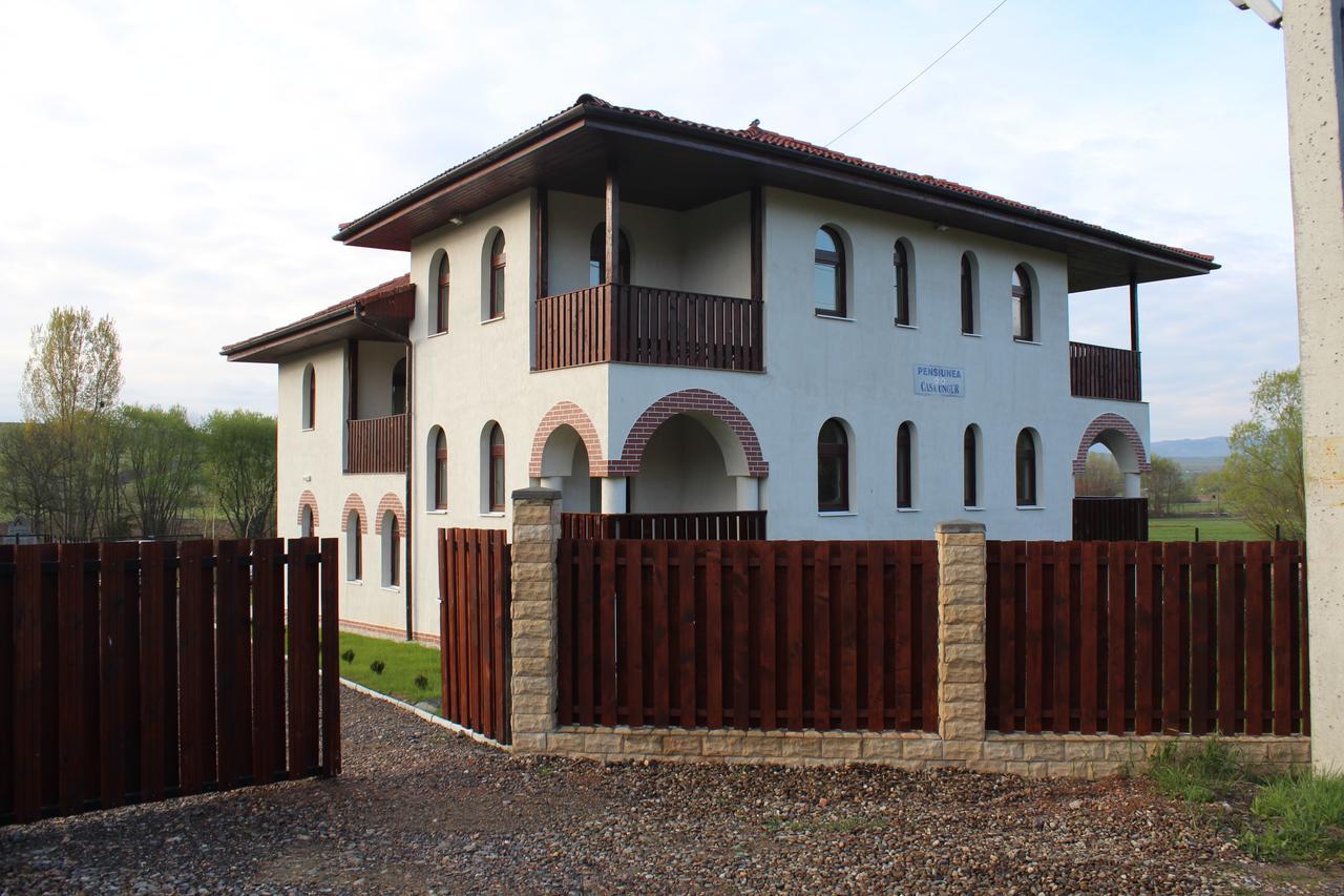 Pensiunea Casa Ungur Cetea Zewnętrze zdjęcie