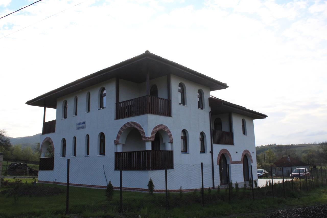 Pensiunea Casa Ungur Cetea Zewnętrze zdjęcie